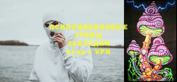 прущая мука Алзамай