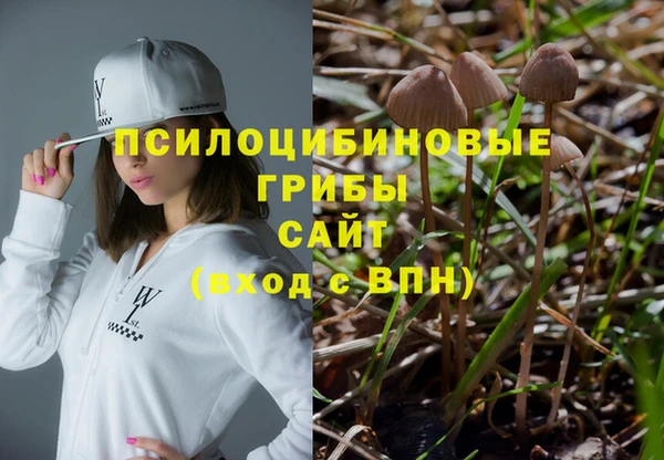 прущий лед Арсеньев
