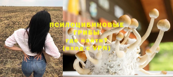 хмурый Армянск