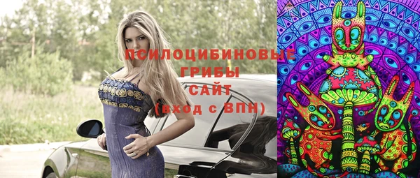 молекула духа Алексеевка