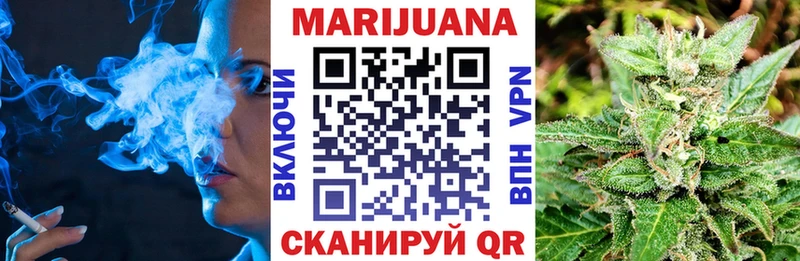 Канабис гибрид  Игарка 